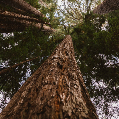 Jenny Zonka profile picture